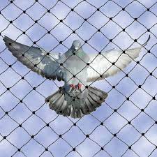 Anti Bird Net Dealers in kalkaji